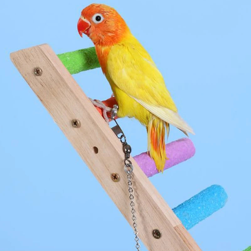 Échelle en Bois pour Oiseaux et Perroquets – 4, 6 ou 8 Marches