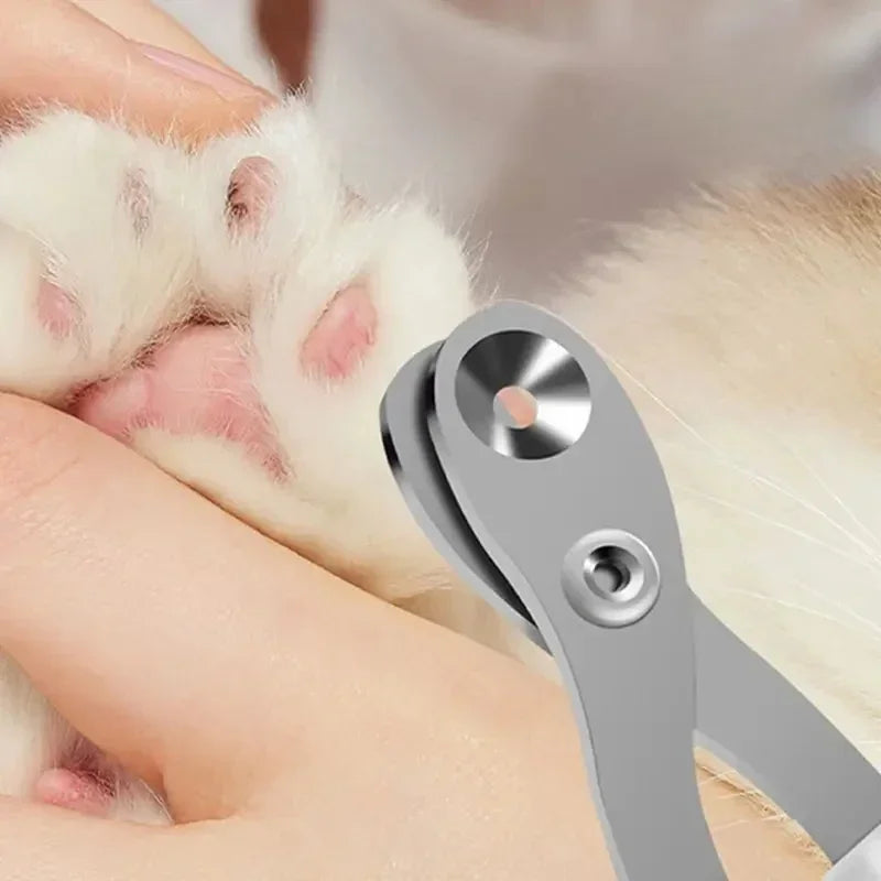 Coupe-Griffes en Acier Inoxydable pour Chat et Petits Animaux
