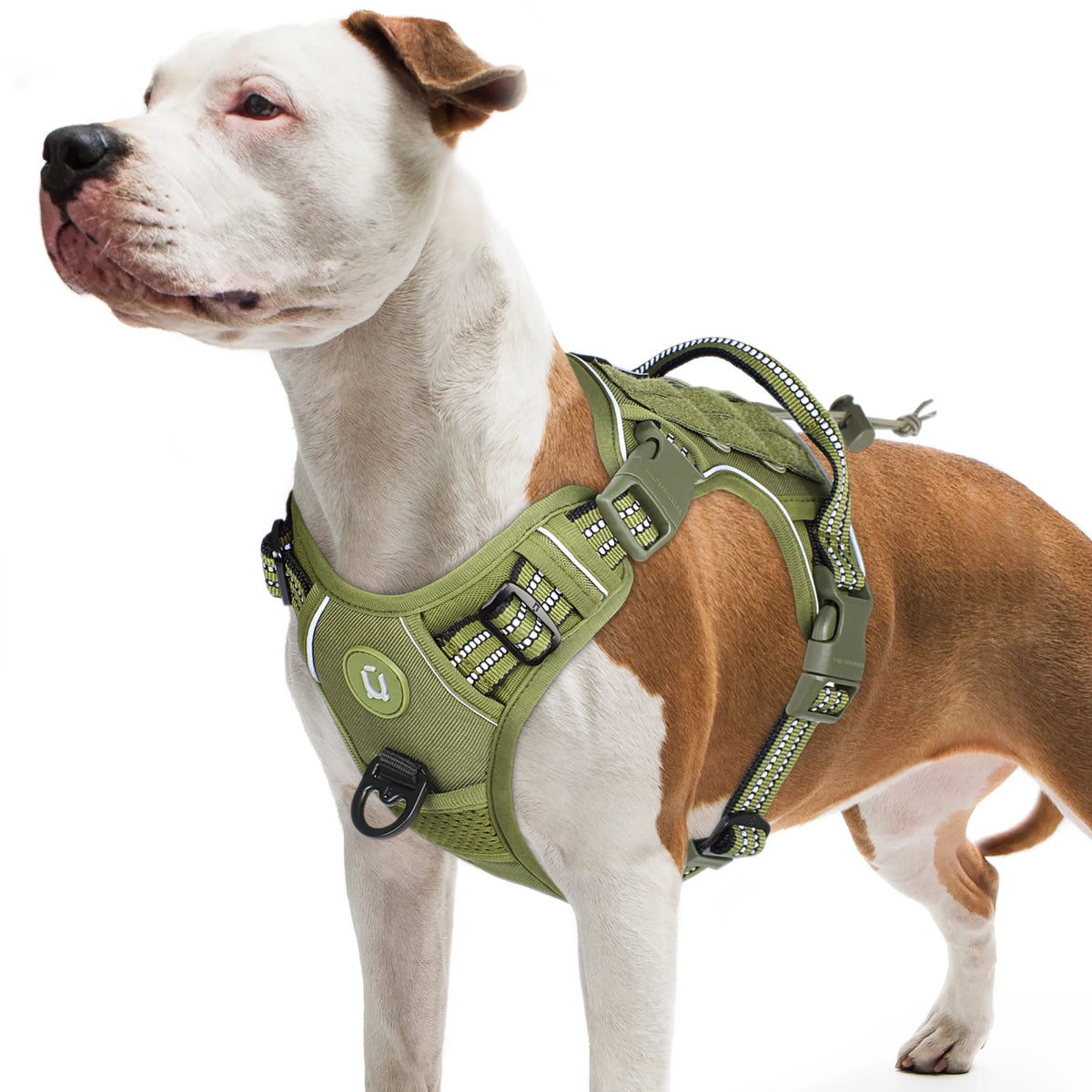 Harnais Ajustable et Réfléchissant pour Chien – Confort & Sécurité