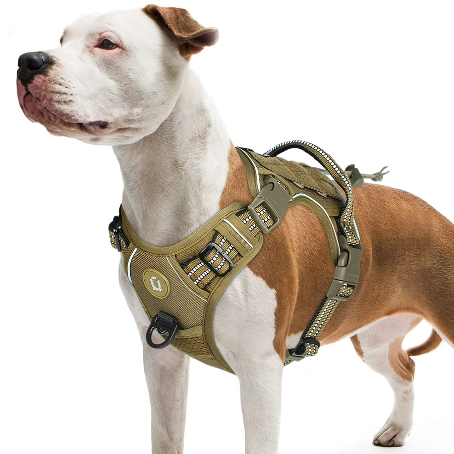 Harnais Ajustable et Réfléchissant pour Chien – Confort & Sécurité