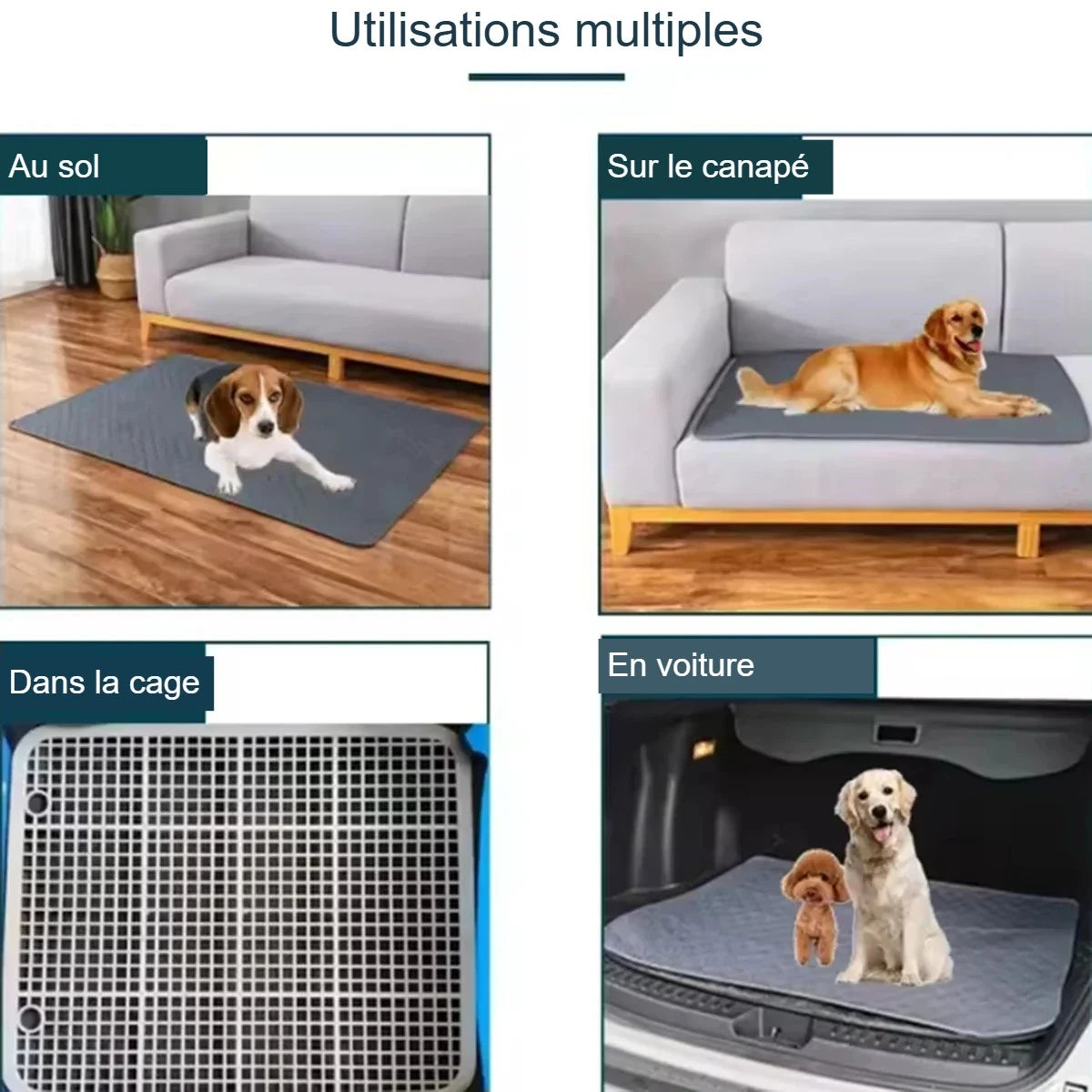 Utilisations multiples du tapis absorbant
