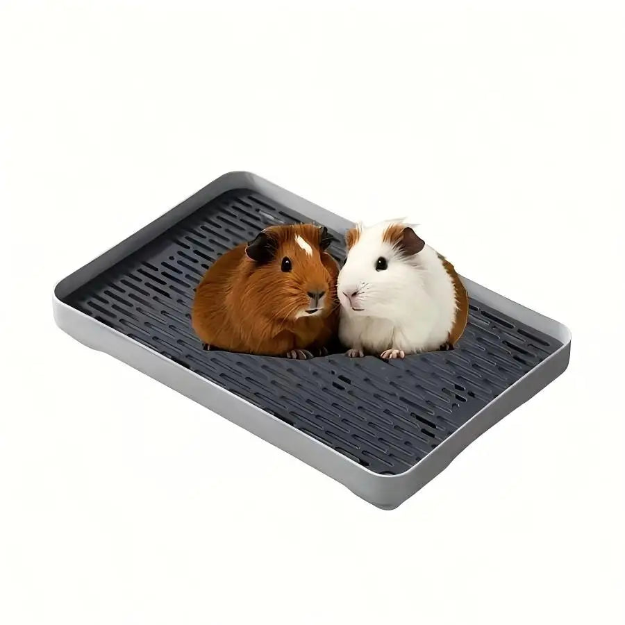 Bac à Litière d'Angle pour Lapin, Cochon d'Inde et Furet