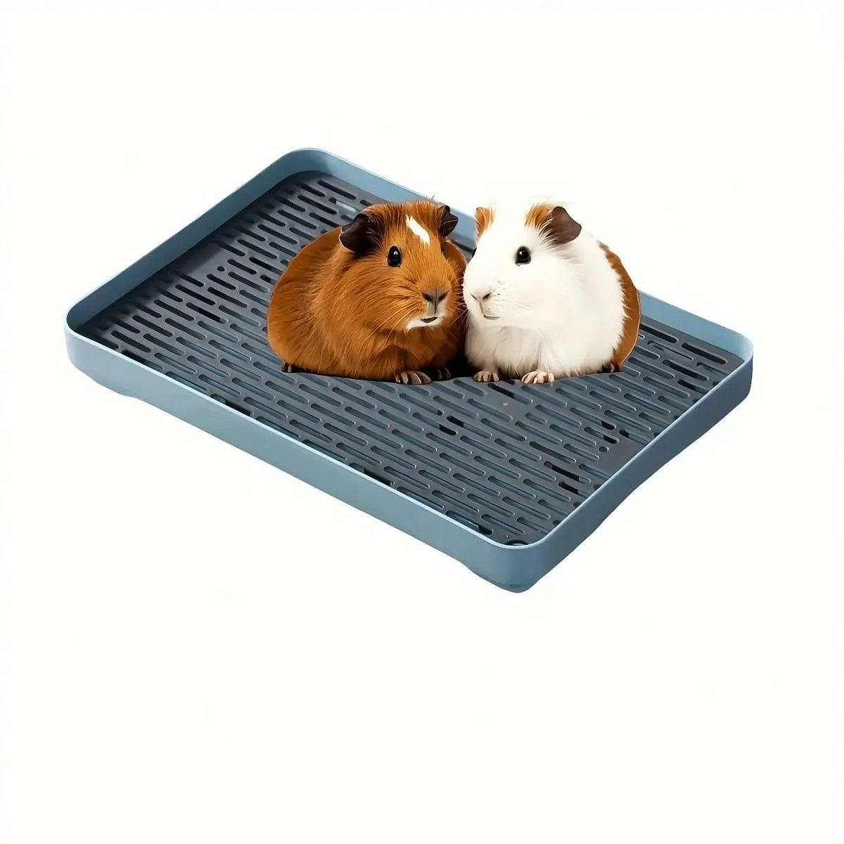 Bac à Litière d'Angle pour Lapin, Cochon d'Inde et Furet