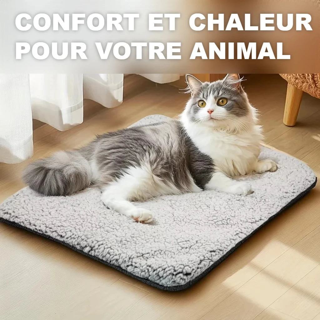 Confort et chaleur pour votre animal