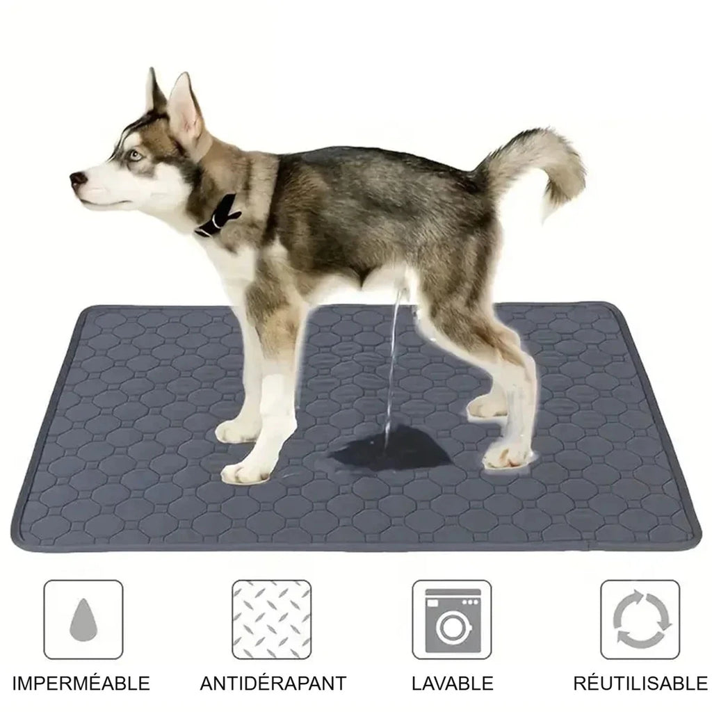 Tapis absorbant gris