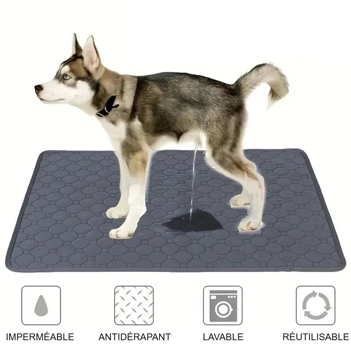 Tapis absorbant gris