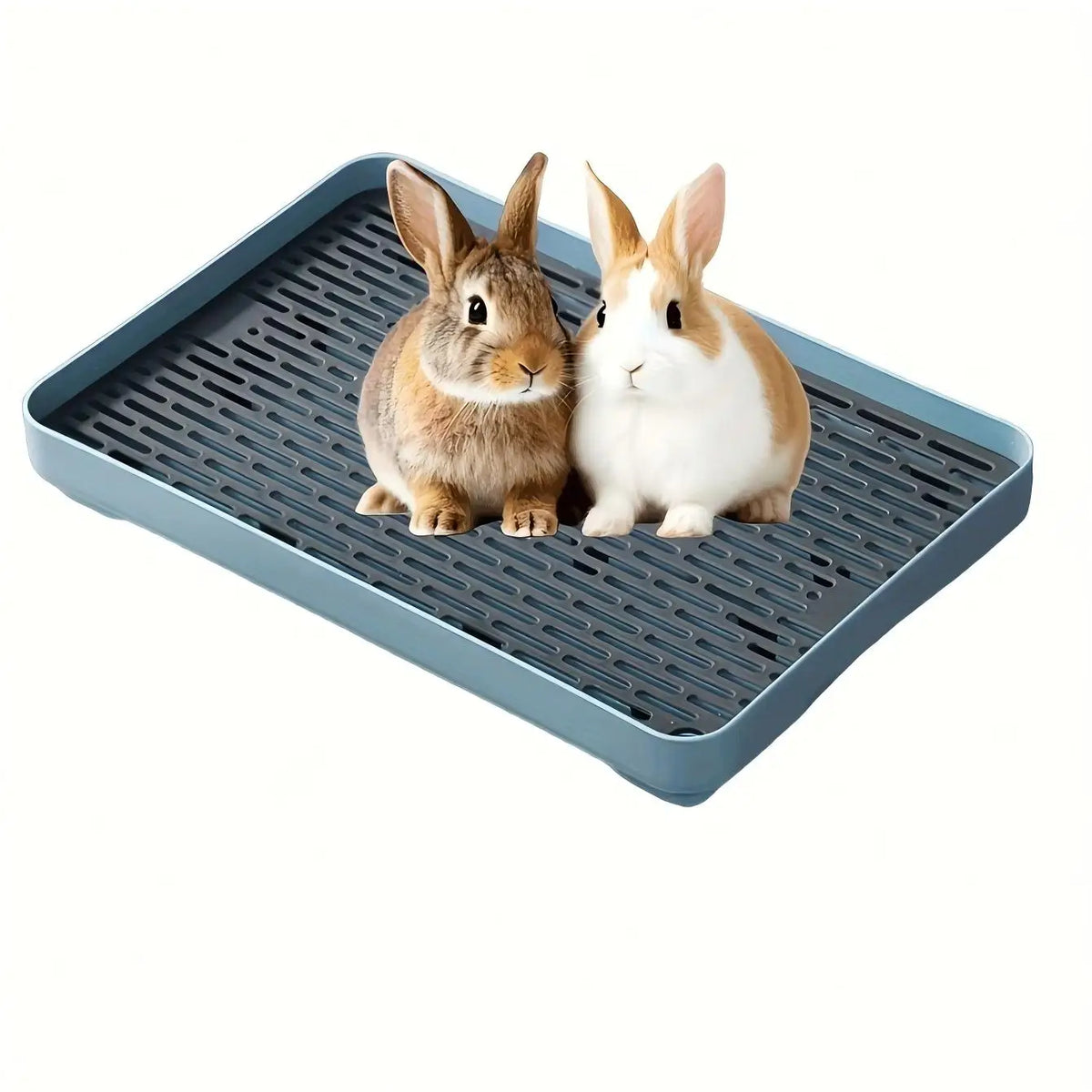 Bac à Litière d'Angle pour Lapin, Cochon d'Inde et Furet