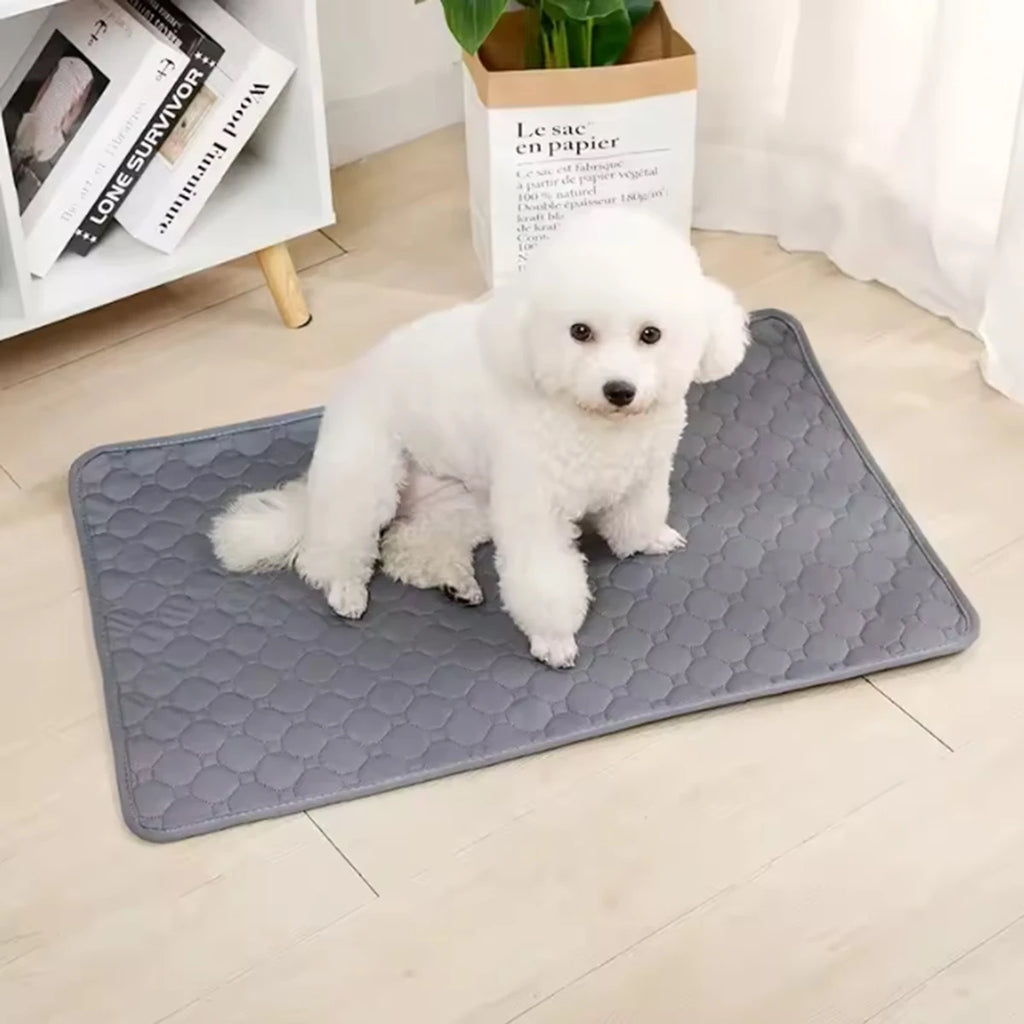 Tapis Absorbant Lavable pour Chien – Réutilisable et Étanche