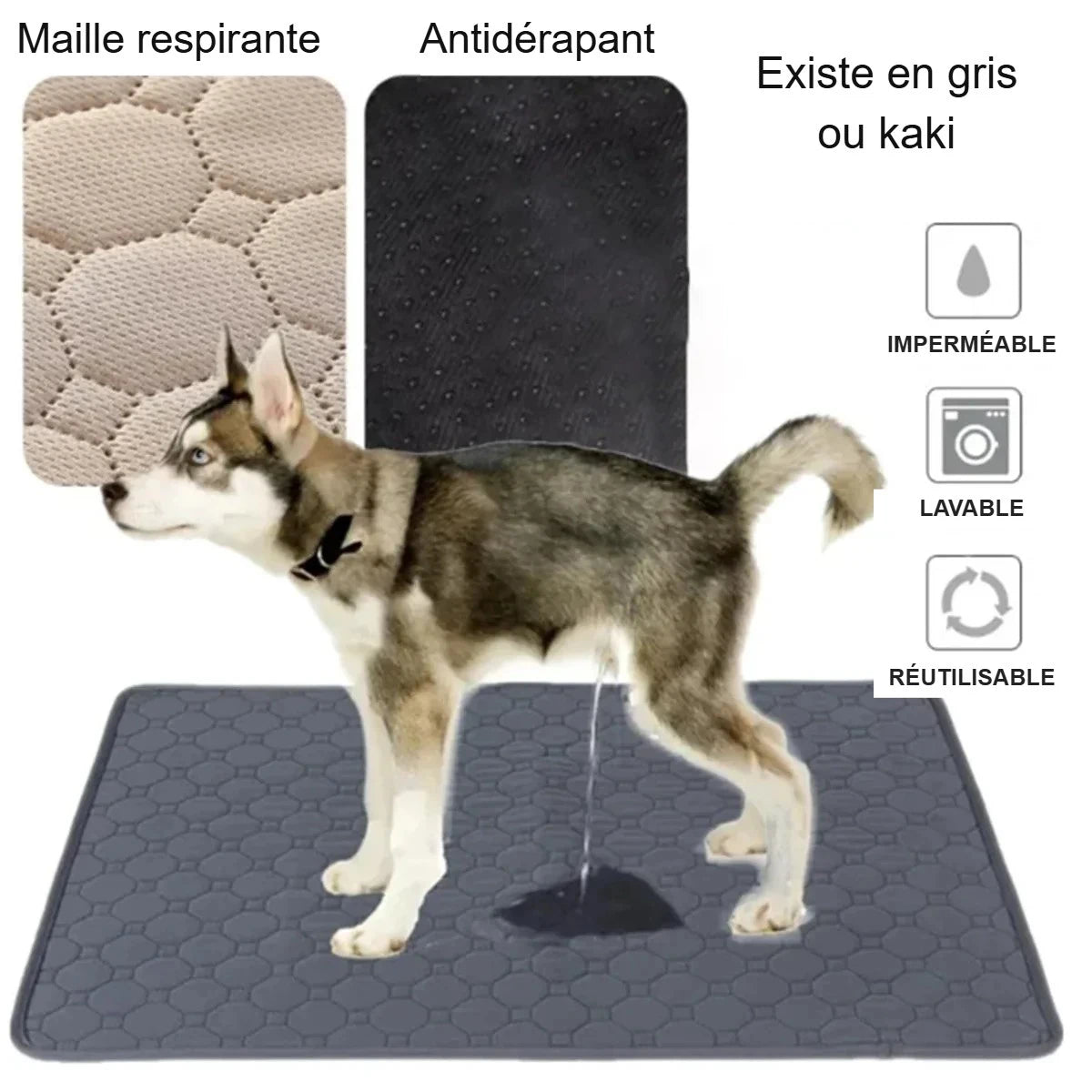 Tapis absorbant lavable pour chien