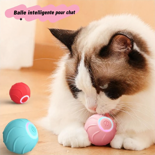 Balle intelligente pour chat en trois couleurs