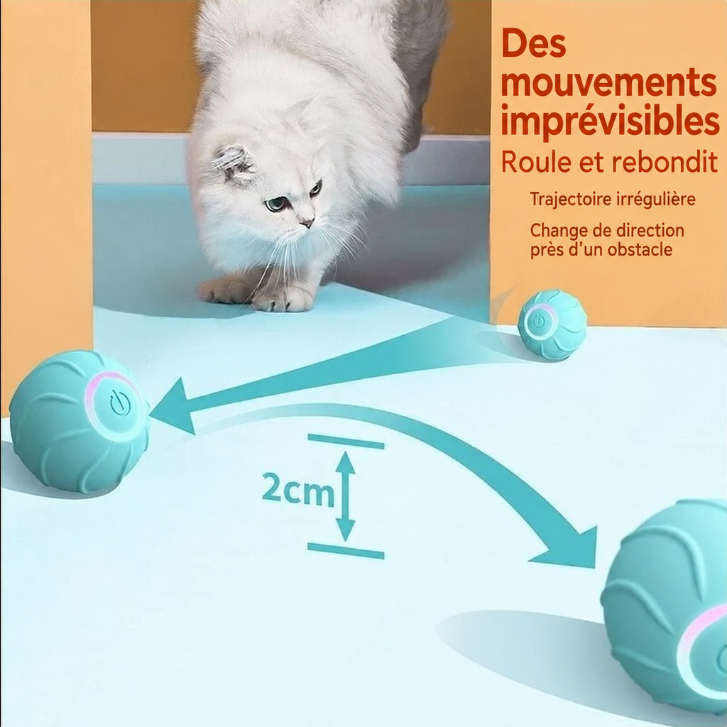 Mouvements imprévisibles de la balle pour chat