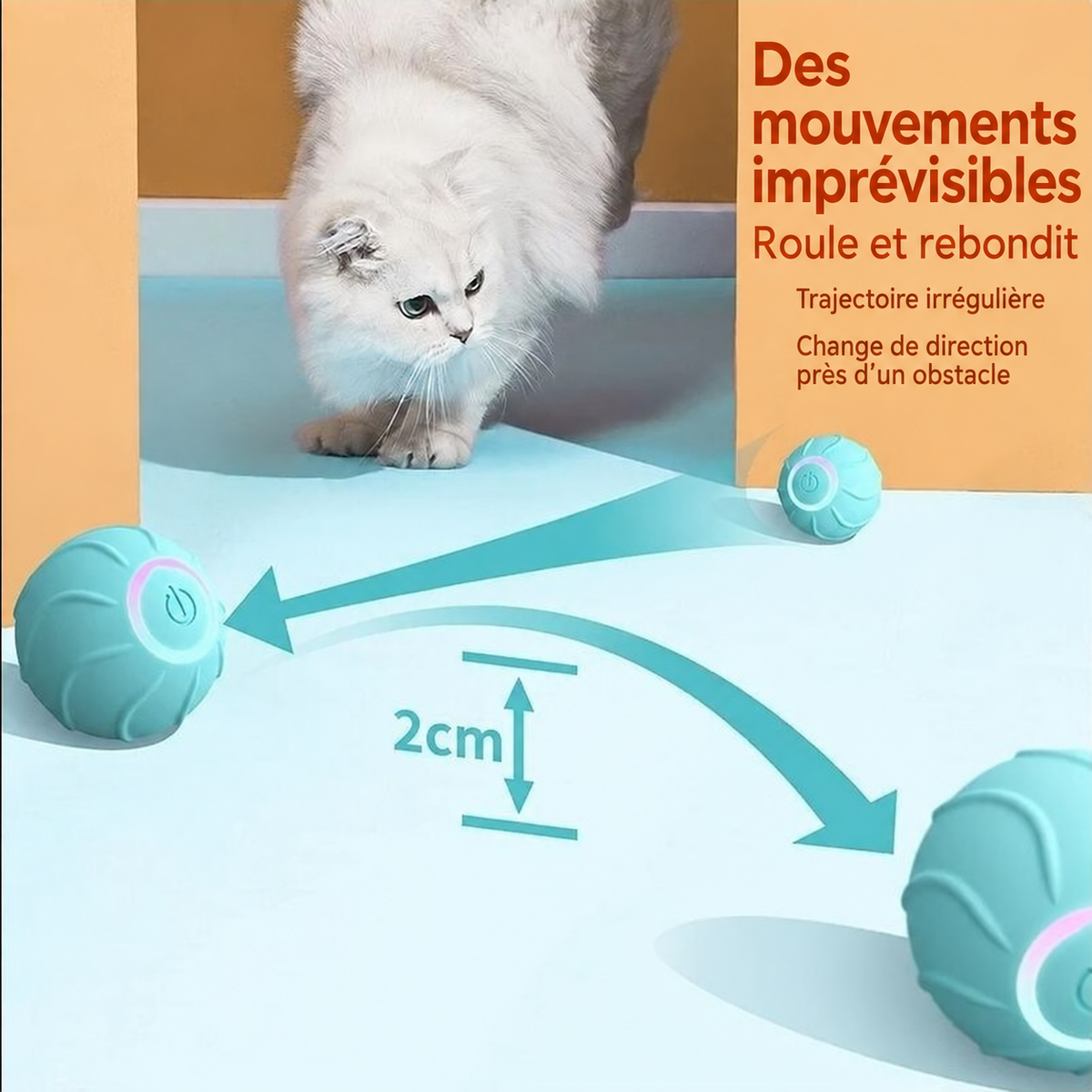 Mouvements imprévisibles de la balle pour chat