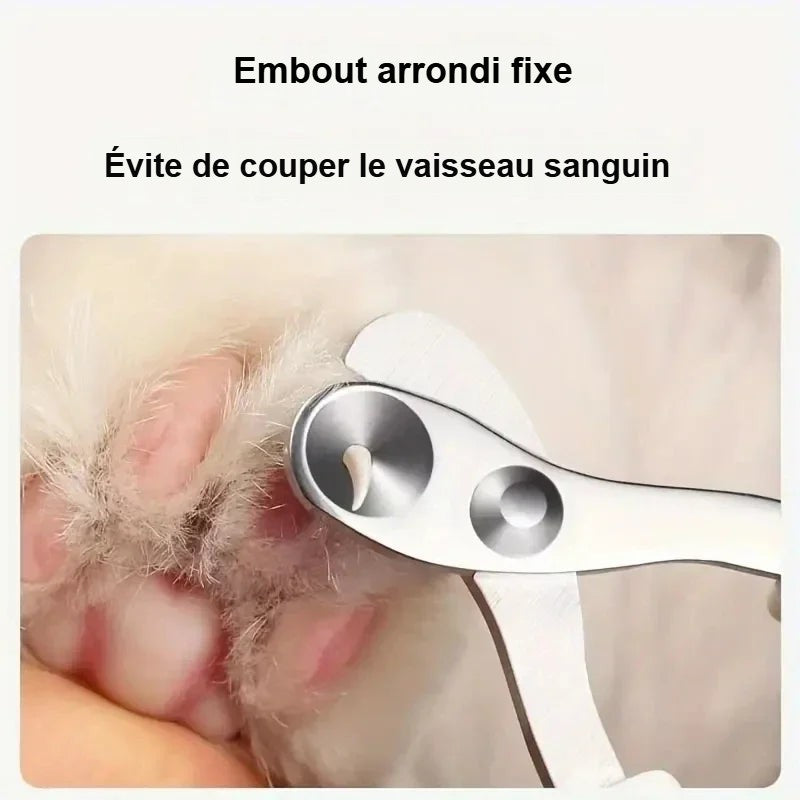 Coupe-griffes à embout arrondi